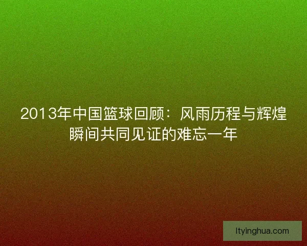 2013年中国篮球回顾：风雨历程与辉煌瞬间共同见证的难忘一年