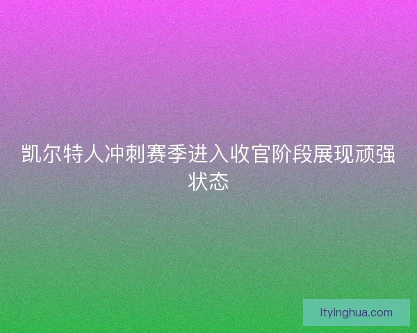 凯尔特人冲刺赛季进入收官阶段展现顽强状态