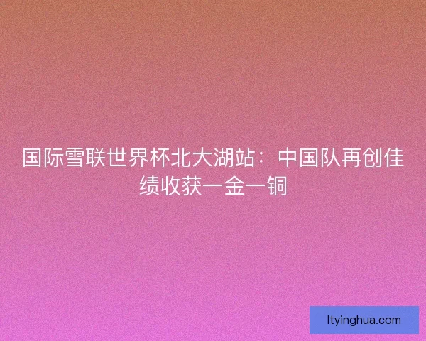 国际雪联世界杯北大湖站：中国队再创佳绩收获一金一铜
